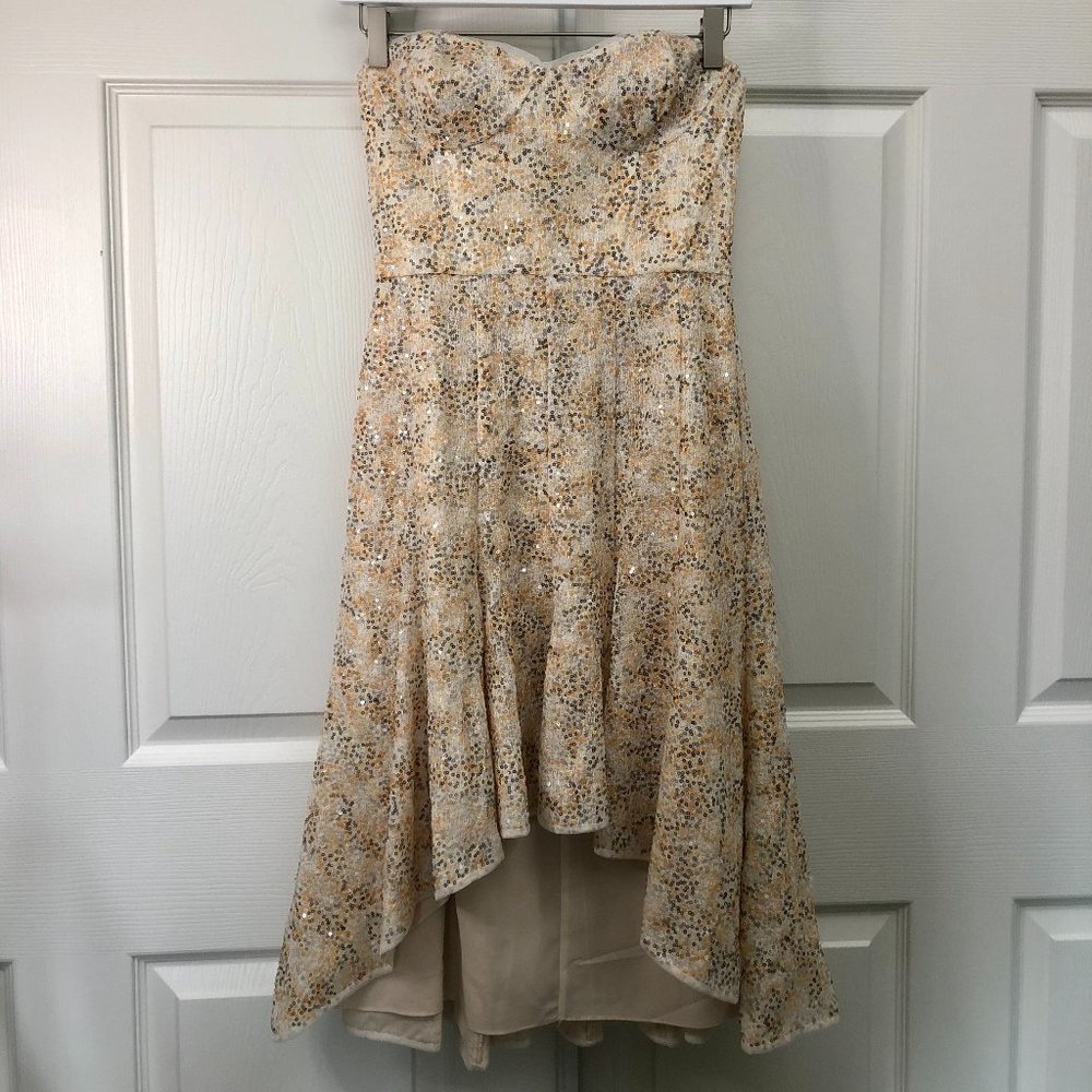 BCBG Bryleigh Strapless Sequined Dress